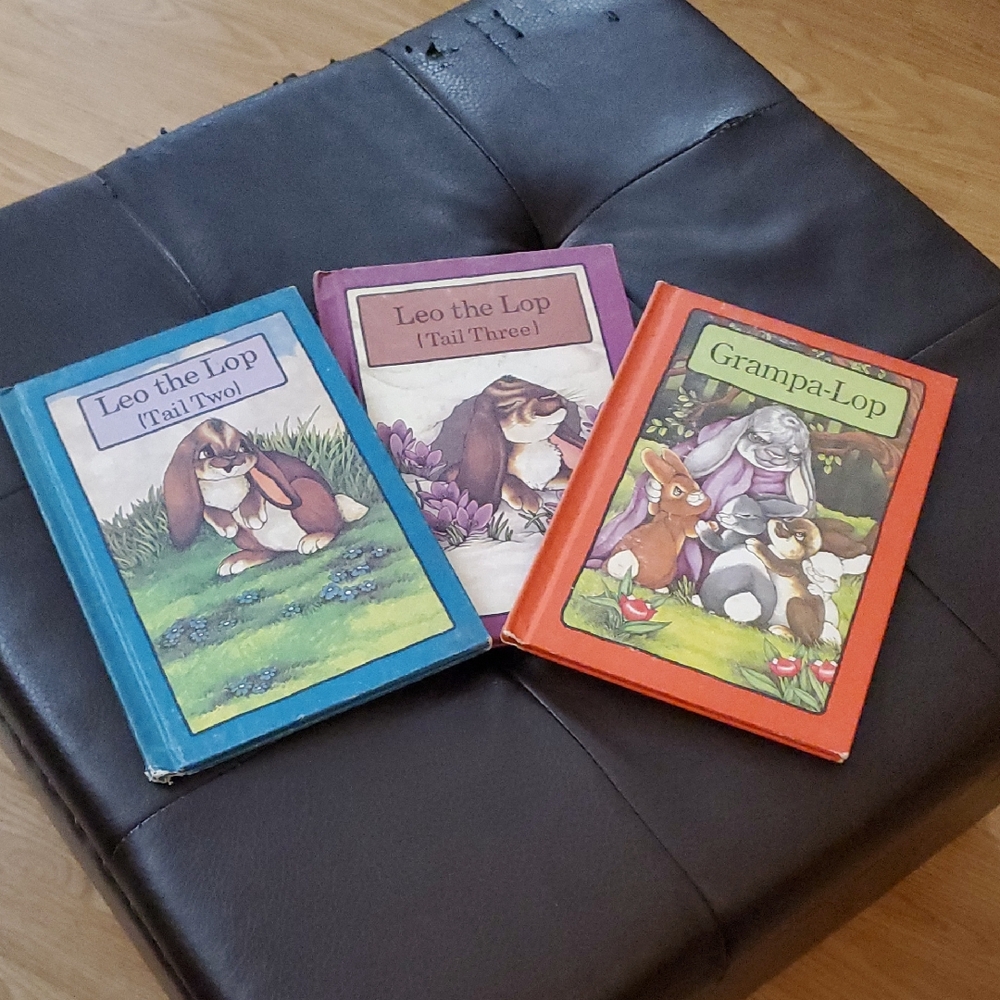 Serendipity Vintage Books